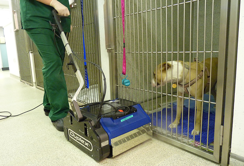 Animal Kennel Corridor Cleaning