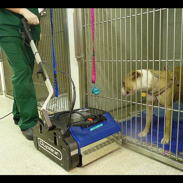 Animal Kennel Corridor Cleaning